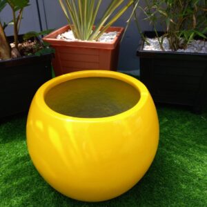 Rounded Medium Smooth