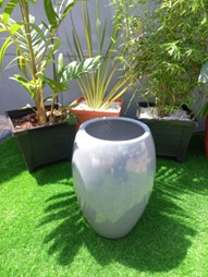 Circular oval medium