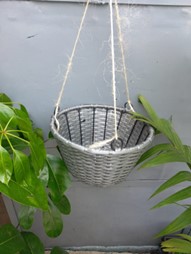 Round Shaped Hanging